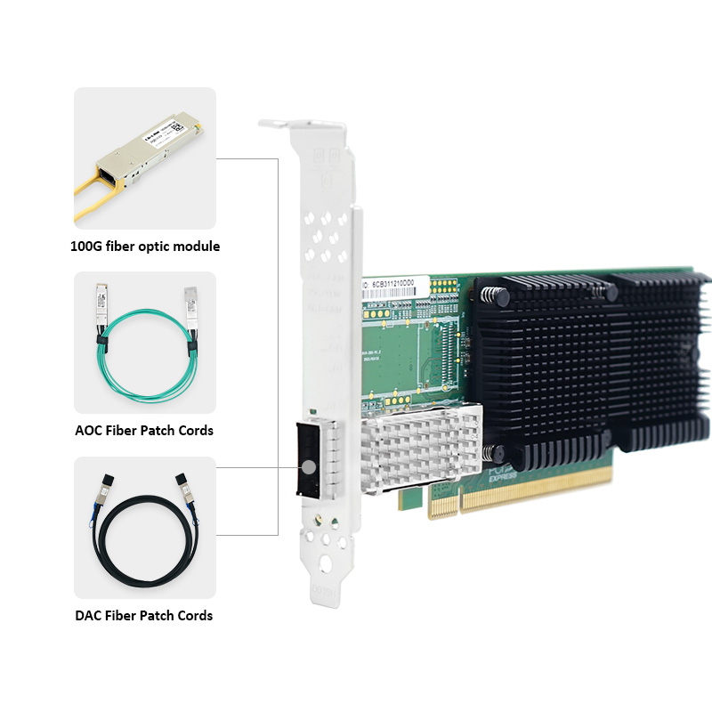 LR-LINK 1019PF-QSFP28 PCIe x16 – 100Gbe Qsfp28 Network Card Bewertung und Preis
